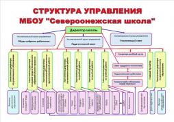 Структура управления МБОУ "Североонежская школа"